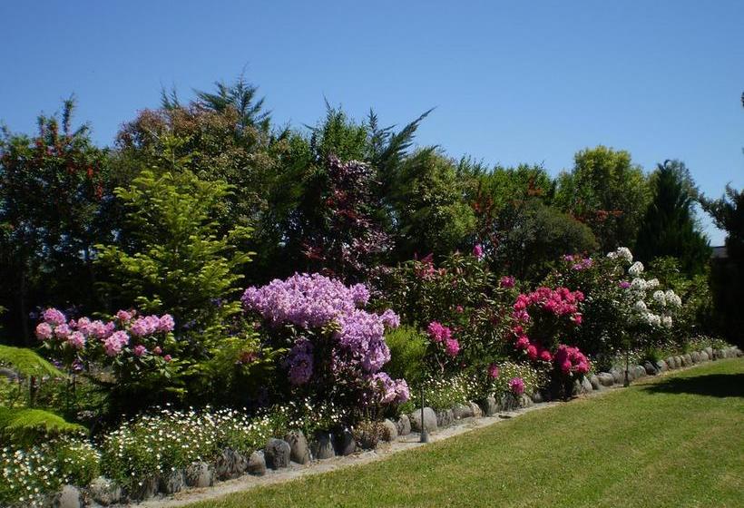 旅馆 Hostal Möller