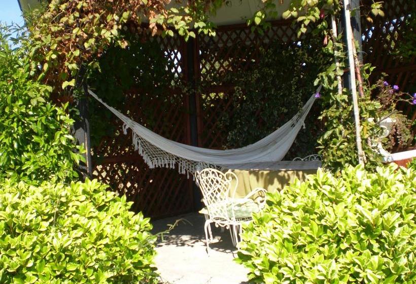 旅馆 Hostal Möller