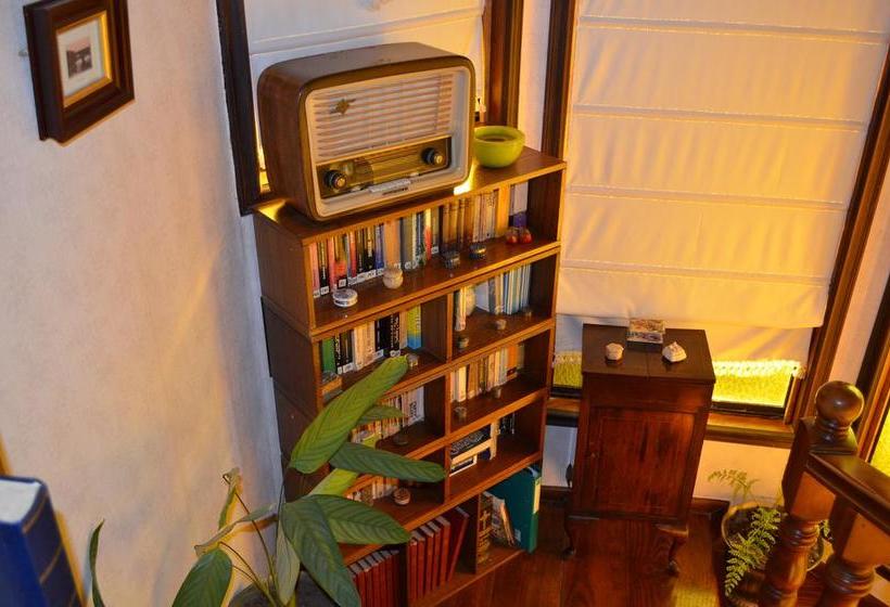 旅馆 Hostal Möller