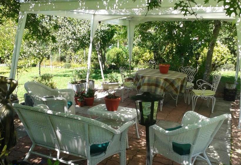 旅馆 Hostal Möller