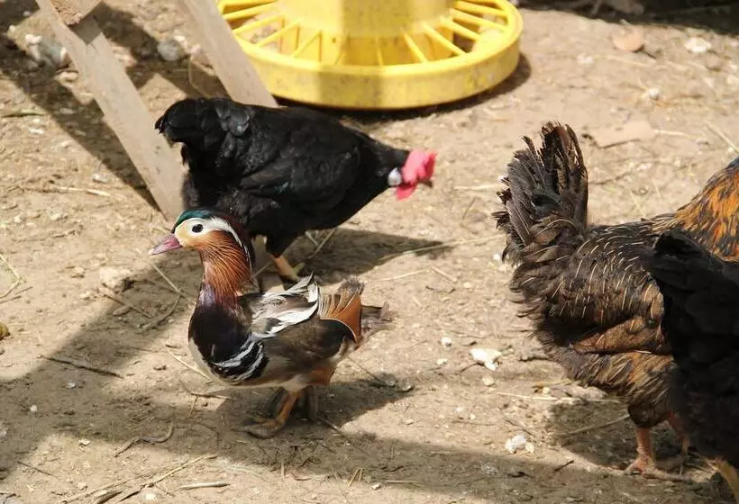 ベッドアンドブレックファースト Tenuta Donna Caterina