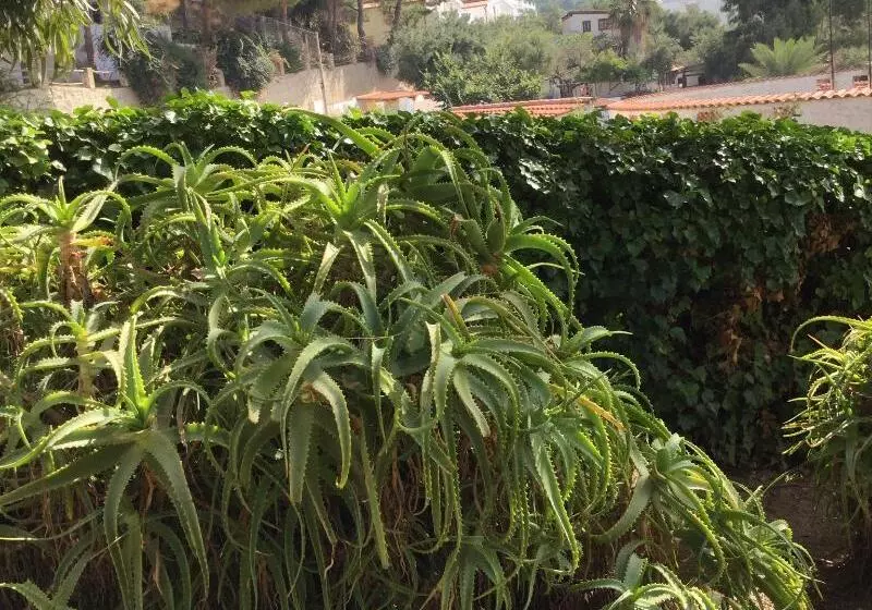 Hostelli Villaggio Residence Marina Del Capo