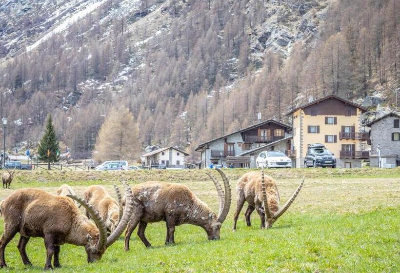 호텔 Albergo Gran Paradiso