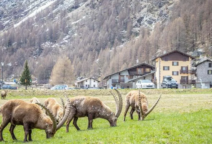 Hotelli Albergo Gran Paradiso