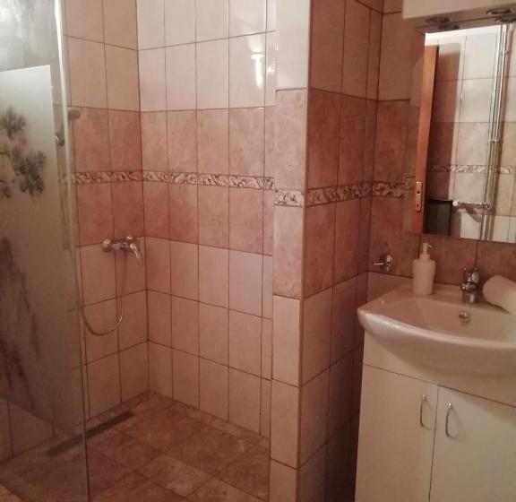 酒店 Balla Apartmanház