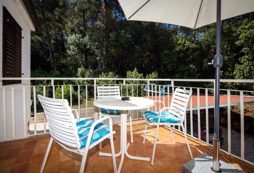 酒店 Villa Matohanca