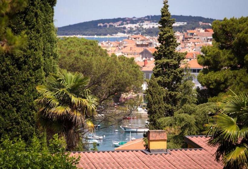 酒店 Villa Matohanca