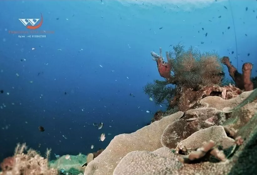 Majatalo Doubleyou Homestay Pemuteran