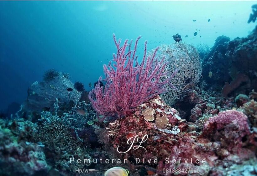 膳宿费 Doubleyou Homestay Pemuteran