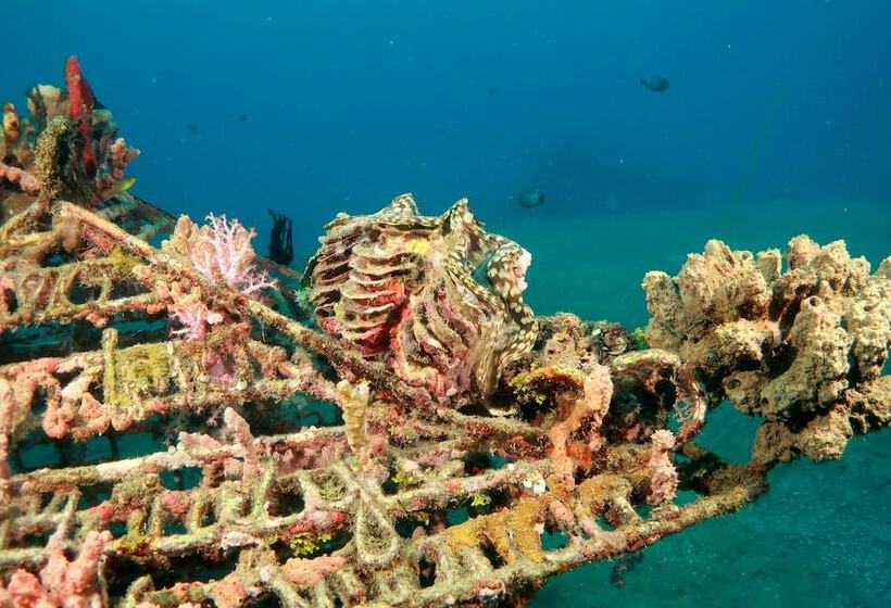 膳宿费 Doubleyou Homestay Pemuteran