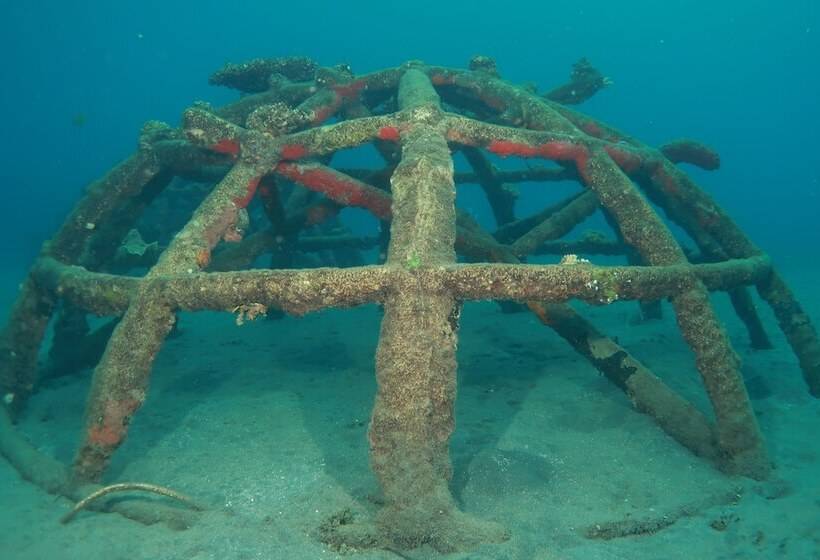 膳宿费 Doubleyou Homestay Pemuteran