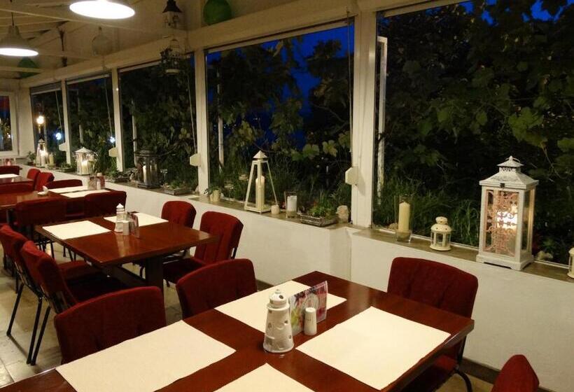 펜션 Pansion Belveder