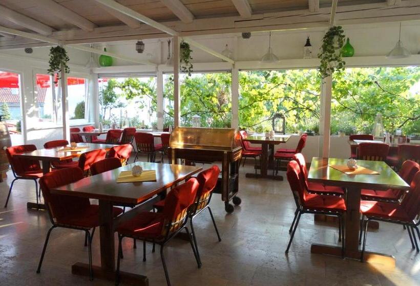 펜션 Pansion Belveder