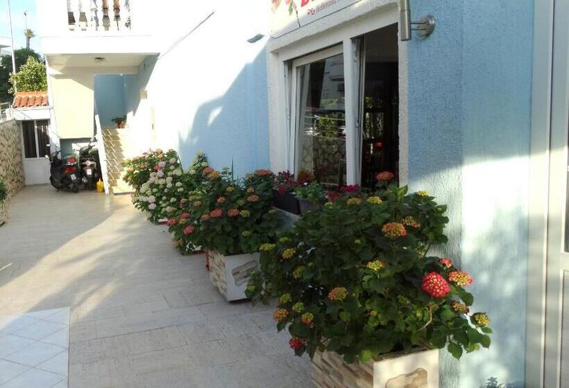 펜션 Pansion Belveder