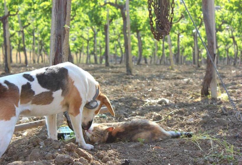 Agriturismo La Casa Di Bacco