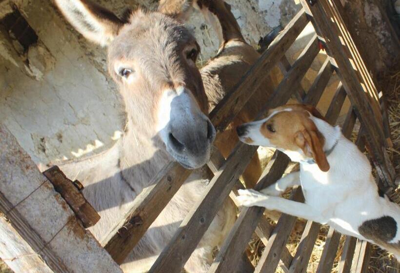 Agriturismo La Casa Di Bacco
