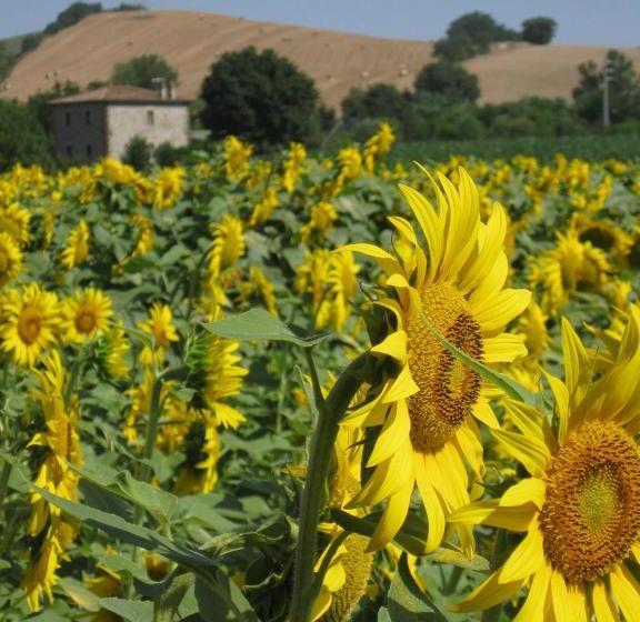 Agriturismo Le Spighe