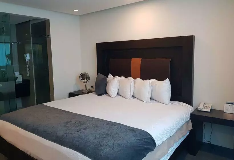 هتل Best Western Plus Metepec & Suites