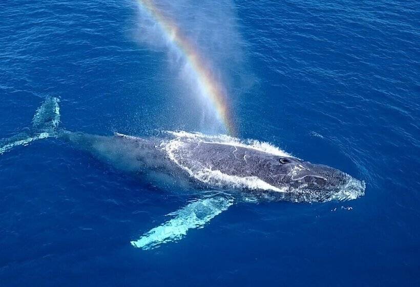 Le Blanc Resort Los Cabos Adults Only   All Inclusive