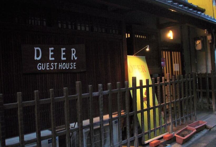 Deer Guesthouse   Hostel