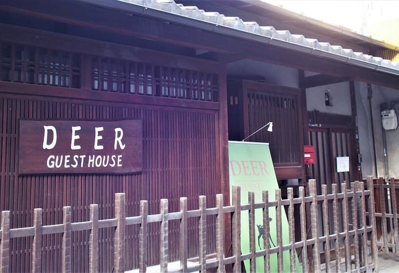 Deer Guesthouse   Hostel