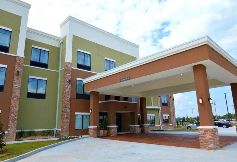 酒店 Wyndham Garden New Roads / False River