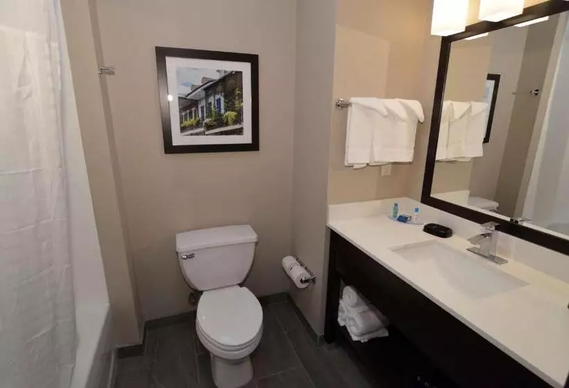 Hotelli Wyndham Garden New Roads / False River