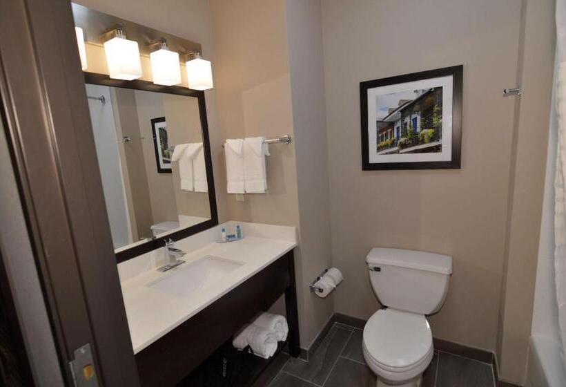 酒店 Wyndham Garden New Roads / False River