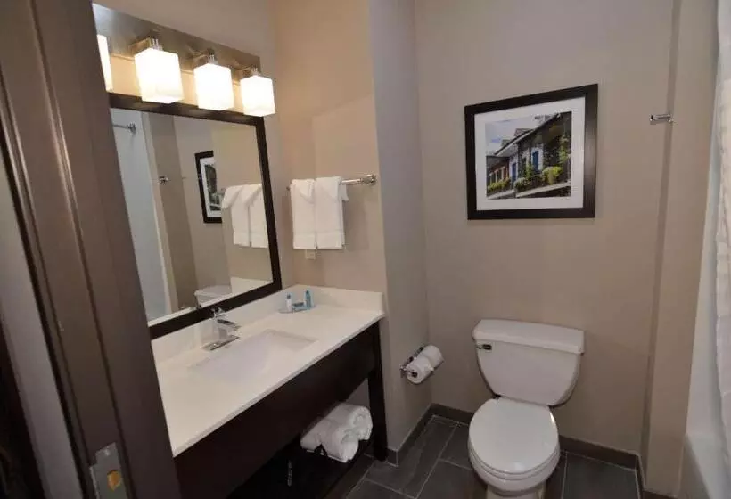 Hotelli Wyndham Garden New Roads / False River