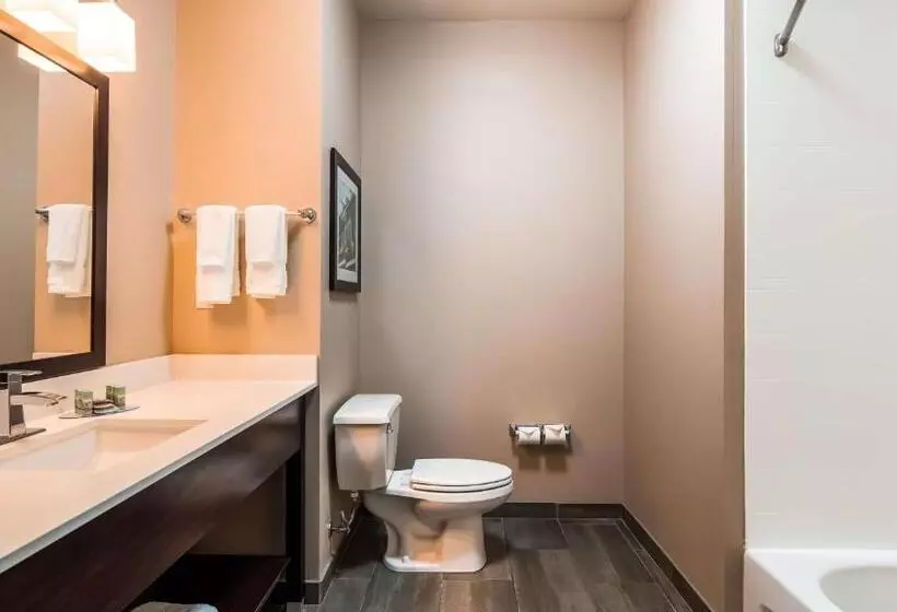 Hotelli Wyndham Garden New Roads / False River