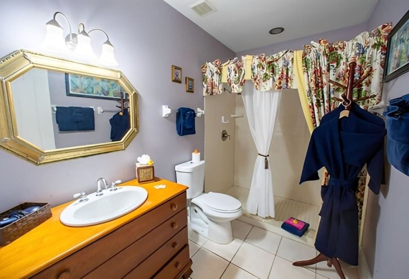 Отель Carriage Way Centennial House   Adult Only  Saint Augustine