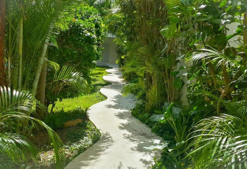 هتل Meson De Tulum