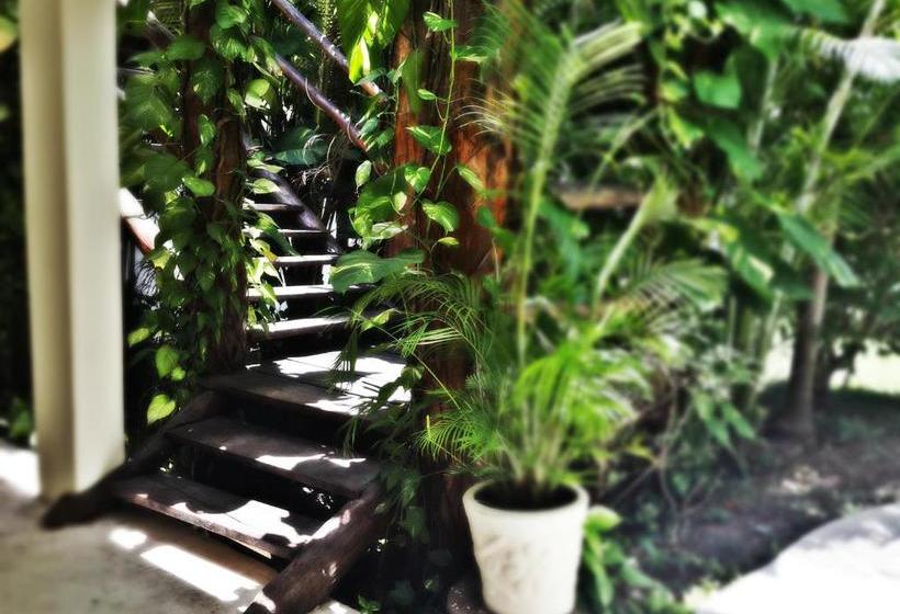 هتل Meson De Tulum