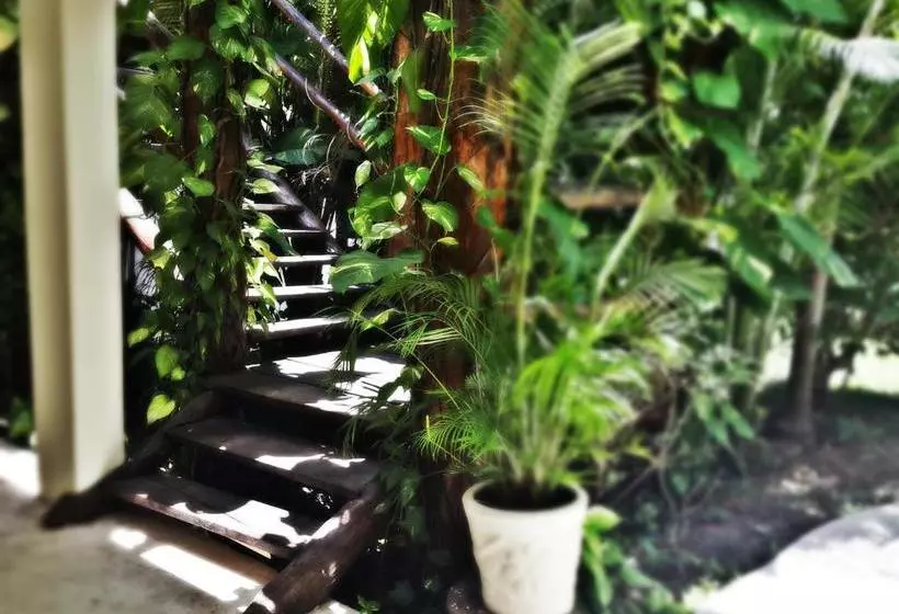 ホテル Meson De Tulum