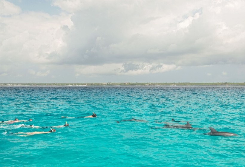 Hôtel Matemwe Beach House