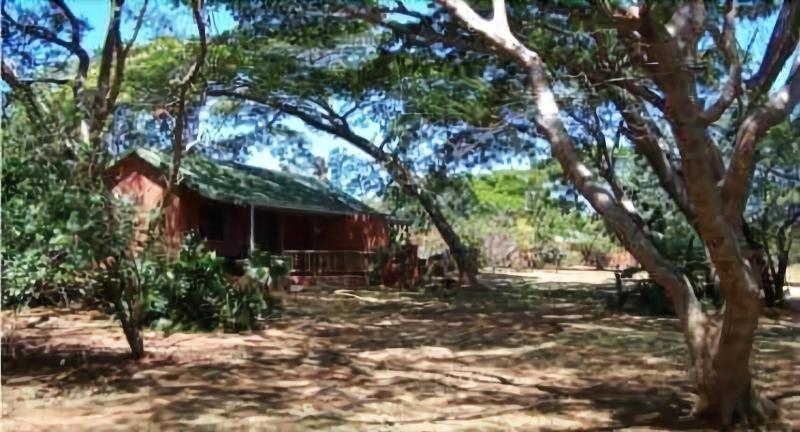 酒店 Sand Forest Lodge