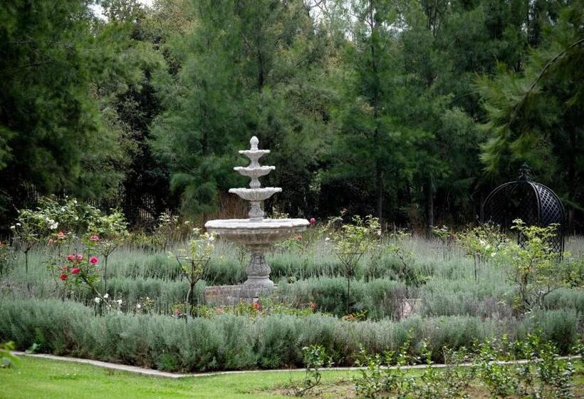 فندق Toadbury Hall Country