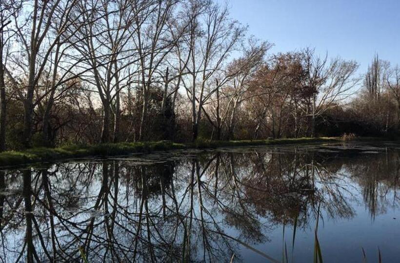 فندق Toadbury Hall Country