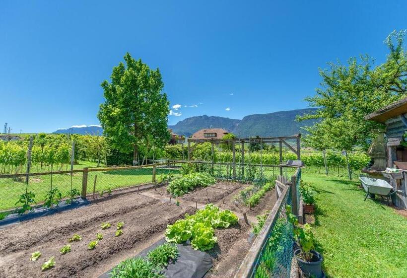 צימר Haus Oberhofer