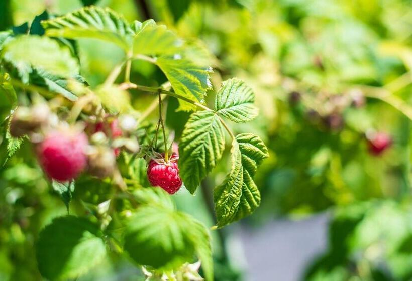 צימר Haus Oberhofer