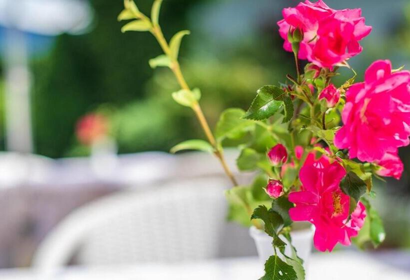 צימר Haus Oberhofer