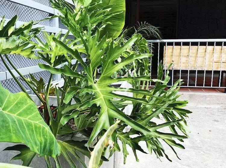 Hotelli Ayenda 1224 Pixel House