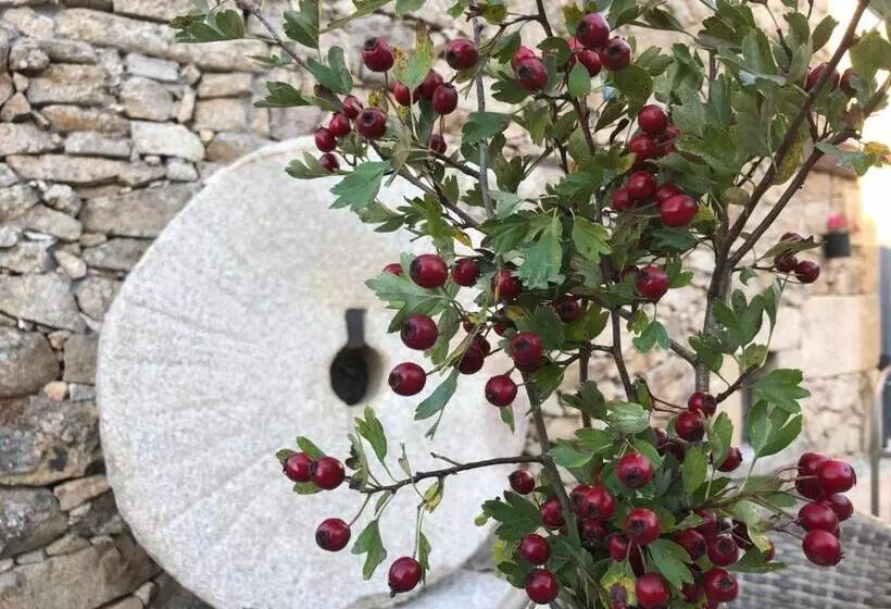 Hotelli Molino María Justina