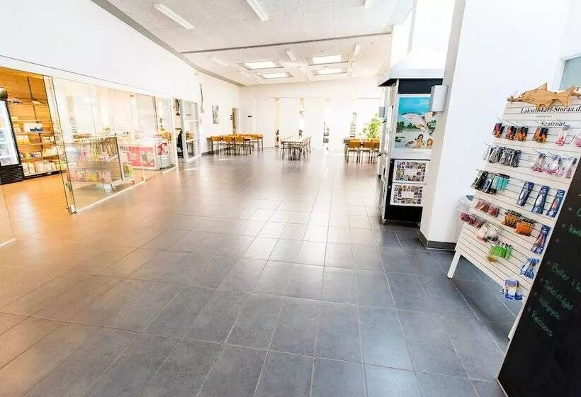 Hotelli Plexus Hytterne