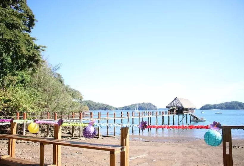 ホテル Seagull Cove Resort