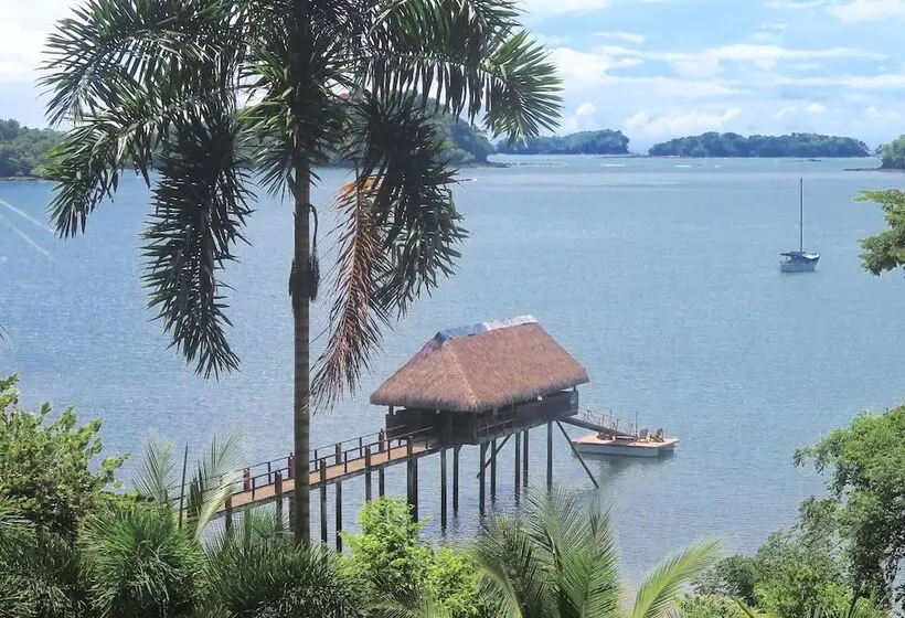 ホテル Seagull Cove Resort