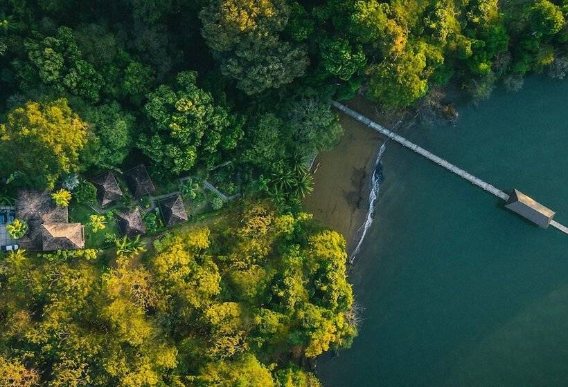 Hotel Seagull Cove Resort