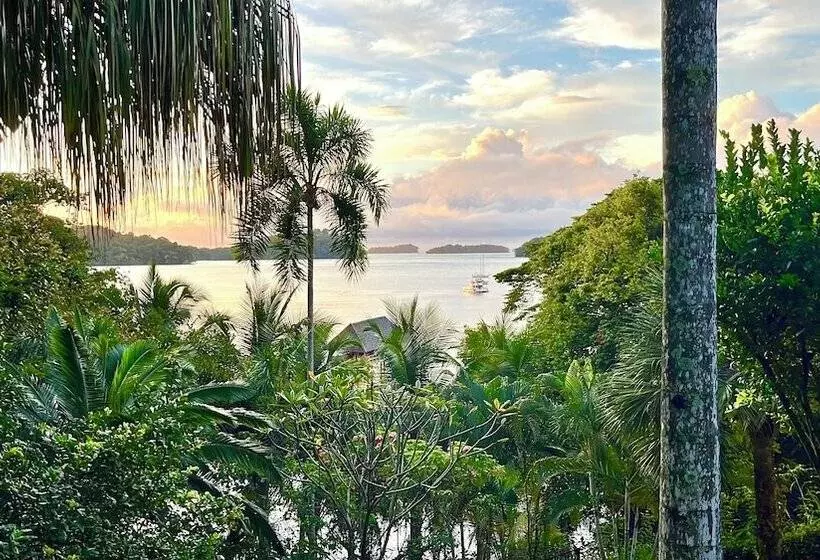 ホテル Seagull Cove Resort