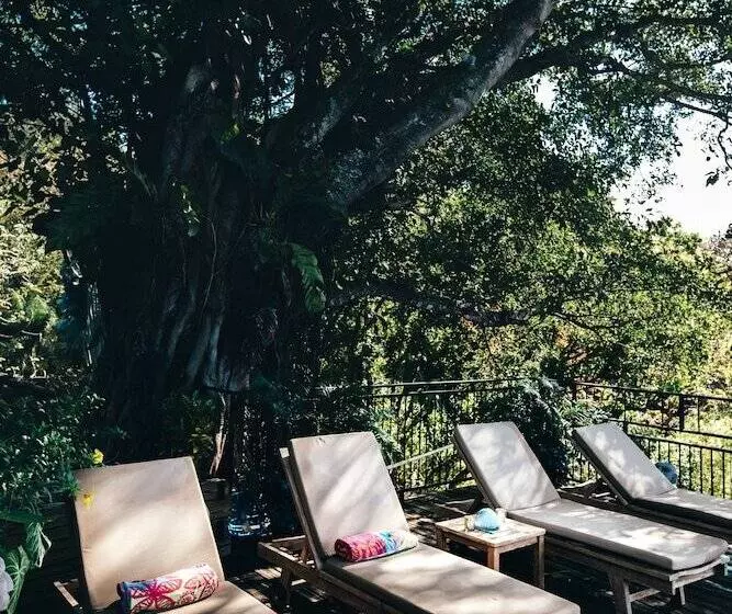 ホテル Seagull Cove Resort