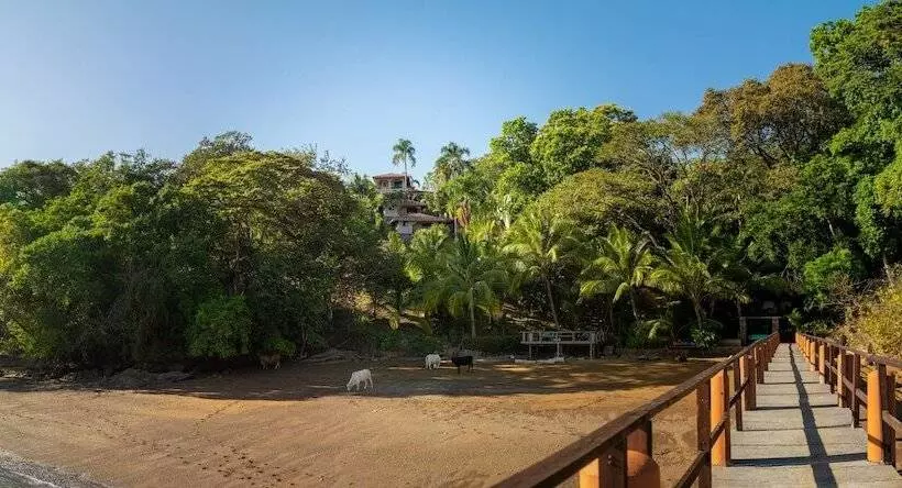 ホテル Seagull Cove Resort